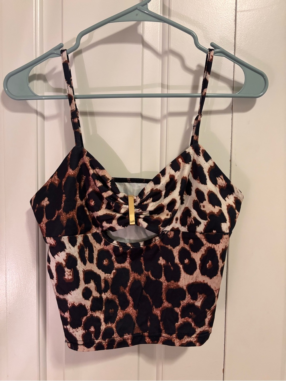Cheetah tank